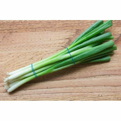 Scallions Per Bunch *** NYC DELIVERY ONLY***
