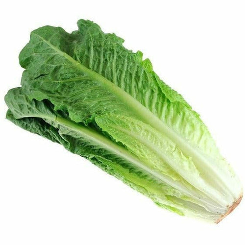 Romaine Lettuce  *** NYC DELIVERY ONLY***
