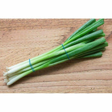If you are searching for a healthy and tasty vegetable, Scallions are absolutely perfect to prepare a salad or garnish your grilled recipes. These fresh scallions are great sources of vitamin B-complex, vitamin C and several vital vitamins. Full of antioxidants, scallions protect your bones and muscles. This vegetable is rich in fibre. Order Scallions today and prepare nutritious recipes.